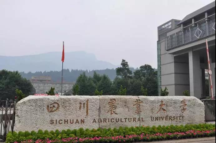 四川省农业类大学.jpg